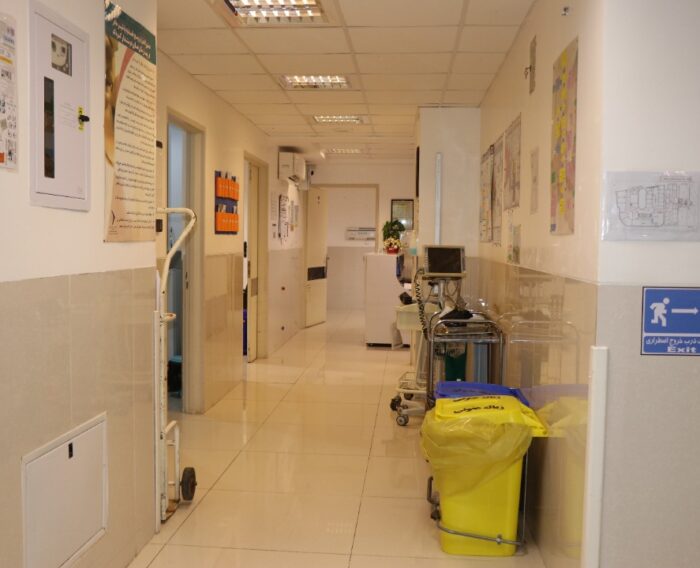 WhatsApp Image 2022-09-12 at 07.38.52 (7)